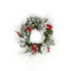 24 In. Frosted Mixed Pine Artificial Wreath-2207170 206634282