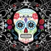 Amscan 5 In. X 5 In. Day Of The Dead Beverage Napkins (36-Count, 3-Pack)-701519 300598931 -Christmas Decoration Store amscan 5 in x 5 in. day of the dead beverage napkins 36 count 3 pack 701519
