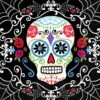 Amscan 6.5 In. X 6.5 In. Day Of The Dead Luncheon Napkins (36-Count, 3-Pack)-711519 300598939 -Christmas Decoration Store amscan 65 in x 65 in. day of the dead luncheon napkins 36 count 3 pack 711519
