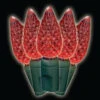 Brite Star C6 35-Light LED Red Lights (Box Of 2)-37-947-20 202207889 -Christmas Decoration Store brite star c6 35 light led red lights box of 2 37 947 20