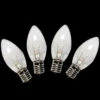 C9 Clear Replacement Bulbs (Case Of 250)-21-000 204796456 -Christmas Decoration Store c9 clear replacement bulbs case of 250 21 000