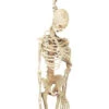 Forum Novelties 5 Ft. Latex Skeleton-F53738 204431153