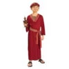 Forum Novelties Burgundy Wiseman Child Costume-F60105_L 205478973 -Christmas Decoration Store forum novelties burgundy wiseman child costume f60105 l