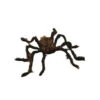 Fun World 30 In. Poseable Hairy Spider-MRJA-91 205478979