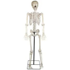 Gemmy 5 Ft. Life Size Animated KD-Bony Tony With Mic-70467 207107606
