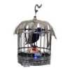 Home Accents Holiday 10 In. Animated Talking Raven In Cage With Skull-6346-13817HD 206770875 -Christmas Decoration Store home accents holiday 10 in. animated talking raven in cage with skull 6346 13817hd