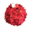 Home Accents Holiday 14.5 In. Dried Floral Wreath Red Glittered Poinsettia Kissing Ball-44682 207169025 -Christmas Decoration Store home accents holiday 145 in. dried floral wreath red glittered poinsettia kissing ball