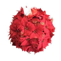 Home Accents Holiday 14.5 In. Dried Floral Wreath Red Glittered Poinsettia Kissing Ball-44682 207169025
