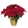 Home Accents Holiday 21 In. Red Glittered Silk Poinsettia Arrangement (Case Of 6)-03X0190R14-RED 206949825 -Christmas Decoration Store home accents holiday 21 in. red glittered silk poinsettia arrangement case of 6 03x0190 1