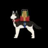 Home Accents Holiday 42 In. LED Lighted Fuzzy Husky-TY028-1614-1 206963368 -Christmas Decoration Store home accents holiday 42 in. led lighted fuzzy husky ty028 1614 1
