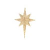 Home Accents Holiday 52 In. 50-Light LED Twinkling Burleigh Star-TY499-1614-0 206963337