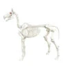 Home Accents Holiday 74 In. Halloween Standing Skeleton Horse-6342-86676 206802721 -Christmas Decoration Store home accents holiday 74 in. halloween standing skeleton horse 6342 86676