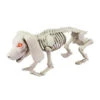 Home Accents Holiday 8.46 In. Animated Skeleton Dachshund With LED Illuminated Eyes-6342-19198HD 206770902 -Christmas Decoration Store home accents holiday 846 in. animated skeleton dachshund with led illuminated eyes 6342