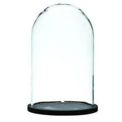 Home Decorators Collection 12.75 In. Halloween Cloche-9296710430 206517420