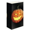Lumabase Jack-O'-Lantern Luminaria Bags (24-Count)-48124 204190960 -Christmas Decoration Store lumabase jack o39 lantern luminaria bags 24 count 48124