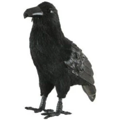 Martha Stewart Living 9 In. Raven Statue-9755200210 300145311