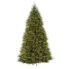 National Tree Company 12 Ft. Pre-Lit Dunhill Fir Hinged Artificial Christmas Tree With Clear Lights-DUH-120LO-S 202214959 -Christmas Decoration Store national tree company 12 ft. pre lit dunhill fir hinged artificial christmas tree with
