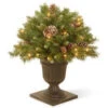 National Tree Company 2 Ft. Frosted Berry Porch Artificial Bush With Clear Lights-FRB3-24PLO 300120610 2 National Tree Company 2 Ft. Frosted Berry Porch Artificial Bush With Clear Lights-FRB3-24PLO 300120610 -Christmas Decoration Store national tree company 2 ft. frosted berry porch artificial bush with clear lights frb3