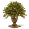 National Tree Company 2 Ft. Tiffany Fir Porch Artificial Bush With Clear Lights-TF3-24PLO 300120612 -Christmas Decoration Store national tree company 2 ft. tiffany fir porch artificial bush with clear lights tf3 24p