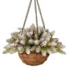 National Tree Company 20 In. Dunhill Fir Hanging Basket With Battery Operated Warm White LED Lights-DUF3-300-20H-B1 300487176 -Christmas Decoration Store national tree company 20 in. dunhill fir hanging basket with battery operated warm whit