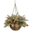 National Tree Company 20 In. Frosted Arctic Spruce Hanging Basket With Battery Operated Warm White LED Lights-PEFA1-307L-20HB 300487242 -Christmas Decoration Store national tree company 20 in. frosted arctic spruce hanging basket with battery operated