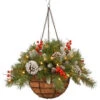 National Tree Company 20 In. Frosted Berry Hanging Basket With Battery Operated Warm White LED Lights-FRB-20HLW-B1 300487224 -Christmas Decoration Store national tree company 20 in. frosted berry hanging basket with battery operated warm wh