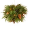 National Tree Company 20 In. White Pine Kissing Ball With Battery Operated Warm White LED Lights-WHP13-300L-20B 300487296 -Christmas Decoration Store national tree company 20 in. white pine kissing ball with battery operated warm white l