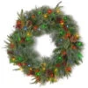 National Tree Company 24 In. Colonial Artificial Wreath With Battery Operated Dual Color LED Lights-PECO7-395D24WBC 300154635 -Christmas Decoration Store national tree company 24 in. colonial artificial wreath with battery operated dual colo