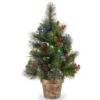 National Tree Company 24 In. Crestwood Spruce Tree With Battery Operated Multicolor LED Lights-CW7-334M-20 300478227 -Christmas Decoration Store national tree company 24 in. crestwood spruce tree with battery operated multicolor led