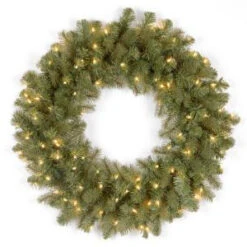 National Tree Company 24 In. Downswept Douglas Artificial Wreath With Clear Lights-PEDD1-312-24W-1 300182939