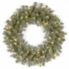 National Tree Company 24 In. Downswept Douglas Blue Artificial Wreath With Clear Lights-PEDDB1-312-24W1 300182948 -Christmas Decoration Store national tree company 24 in. downswept douglas blue artificial wreath with clear lights