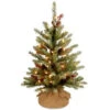 National Tree Company 24 In. Dunhill Fir Tree With Battery Operated Warm White LED Lights-DUF-300-20-B1 300478165 -Christmas Decoration Store national tree company 24 in. dunhill fir tree with battery operated warm white led ligh