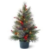 National Tree Company 24 In. Feel-Real Colonial Small Wrapped Tree With Battery Operated LED Lights-PECO1-300-20-B1 300478244 -Christmas Decoration Store national tree company 24 in. feel real colonial small wrapped tree with battery operate