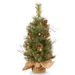 National Tree Company 24 in. Glistening Pine Tree with Battery Operated Warm White LED Lights-GN19-300-24-B1 300478203 National Tree Company 24 In. Glistening Pine Tree With Battery Operated Warm White LED Lights-GN19-300-24-B1 300478203 -Christmas Decoration Store national tree company 24 in. glistening pine tree with battery operated warm white led