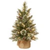 National Tree Company 24 In. Glittery Bristle Pine Tree With Battery Operated Warm White LED Lights-GB3-392-20-B1 300478209 -Christmas Decoration Store national tree company 24 in. glittery bristle pine tree with battery operated warm whit