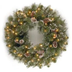 National Tree Company 24 In. Glittery Pine Artificial Wreath With Clear Lights-GP1-300-24W-1 300182872