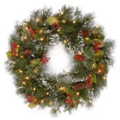 National Tree Company 24 In. Wintry Pine Artificial Wreath With Clear Lights-WP1-300-24W-1 300182789