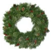 National Tree Company 30 In. Unlit Cashmere Cone And Berry Decorated Artificial Wreath With Red Berries And Pinecones-CCB19-30W 205146931 -Christmas Decoration Store national tree company 30 in. unlit cashmere cone and berry decorated artificial wreath