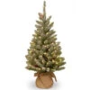 National Tree Company 36 In. Snowy Concolor Fir Tree With Battery Operated LED Lights-SR1-328-30-B1 300478181 -Christmas Decoration Store national tree company 36 in. snowy concolor fir tree with battery operated led lights s