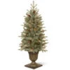 National Tree Company 4 Ft. Frosted Arctic Spruce Entrance Artificial Christmas Tree With Clear Lights-PEFA1-309-40 300120628 -Christmas Decoration Store national tree company 4 ft. frosted arctic spruce entrance artificial christmas tree wi