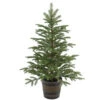National Tree Company 4 Ft. Norwegian Spruce Entrance Artificial Christmas Tree With Clear Lights-PENG4-306-40P 300120649