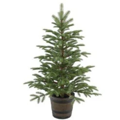 National Tree Company 4 Ft. Norwegian Spruce Entrance Artificial Christmas Tree With Clear Lights-PENG4-306-40P 300120649
