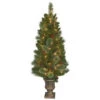 National Tree Company 4.5 Ft. Cashmere Cone And Berry Decorated Potted Artificial Christmas Tree In Urn With 100 Clear Lights-CCB19-45LO 205952968