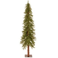 National Tree Company 6 Ft. Hickory Cedar Artificial Christmas Tree-CED7-60-S 207183134