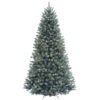 National Tree Company 7-1/2 Ft. North Valley Spruce Blue Hinged Artificial Christmas Tree With 700 Clear Lights-NRVB7-306-75 207183210