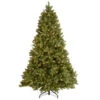 National Tree Company 7 Ft. Bayberry Spruce Artificial Christmas Tree With Clear Lights-PEBY3-312-70 205330672 -Christmas Decoration Store national tree company 7 ft. bayberry spruce artificial christmas tree with clear lights