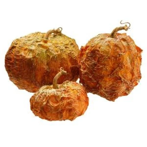 National Tree Company 8 in., 6 in. and 5 in. H Pumpkin Decor (Set of 3)-RAHV-16294NG 207123491 National Tree Company 8 In., 6 In. And 5 In. H Pumpkin Decor (Set Of 3)-RAHV-16294NG 207123491 -Christmas Decoration Store national tree company 8 in 6 in and 5 in. h pumpkin decor set of 3 rahv 16294ng
