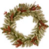 National Tree Company Decorative Collection Eucalyptus 24 In. Artificial Wreath With Clear Lights-DC3-183L-24W 300154660 -Christmas Decoration Store national tree company decorative collection eucalyptus 24 in. artificial wreath with cl