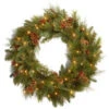 National Tree Company Decorative Collection Noble Mixed 30 In. Artificial Wreath With Battery Operated Warm White LED Lights-DC13-103-30WB-1 300182792 -Christmas Decoration Store national tree company decorative collection noble mixed 30 in. artificial wreath with b
