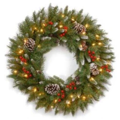 National Tree Company Frosted Berry 24 In. Artificial Wreath With Clear Lights-FRB-24WLO-1 300182828